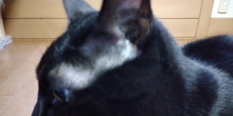 IMG_20221103_163646