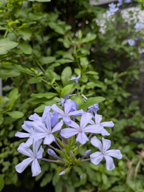 PXL_20250810_225055314