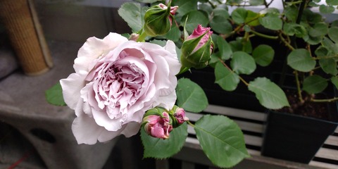IMG_20220508_143814