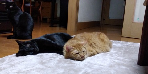 IMG_20221007_224421