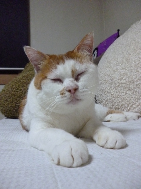 P1000214