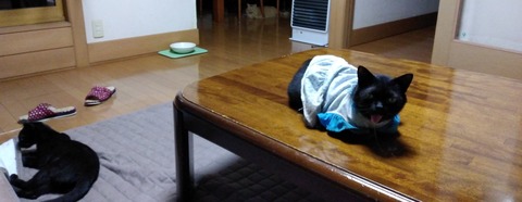 IMG_20200518_225022 (2)