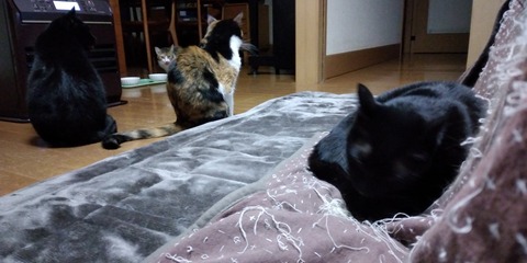 IMG_20230119_185321