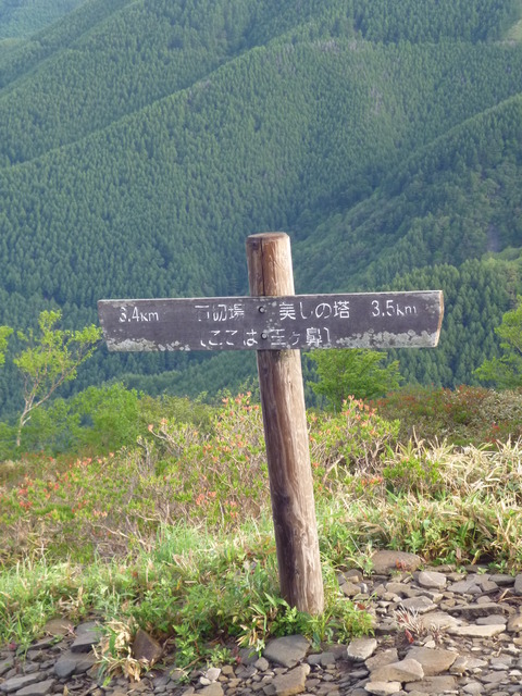 P1050707