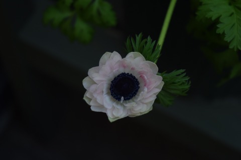 023