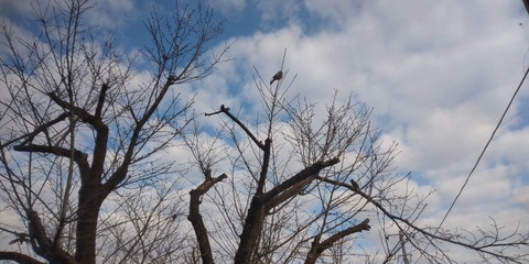 IMG_20220304_081713