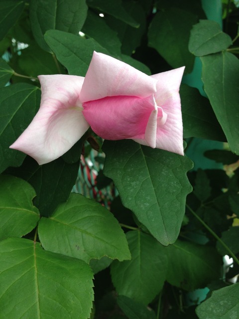 040