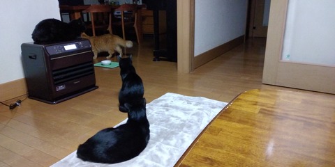 IMG_20220301_214446