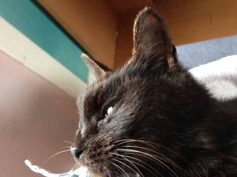 007
