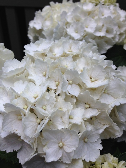 058