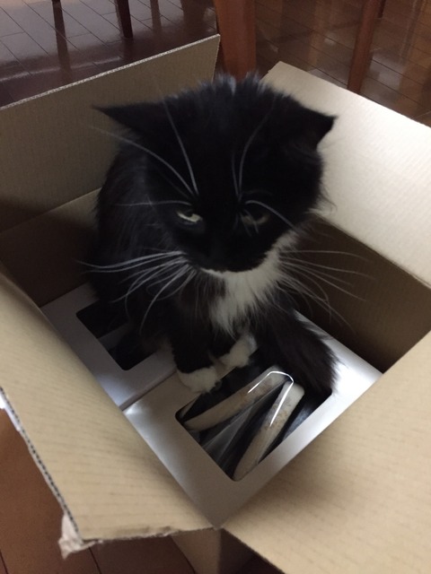 007