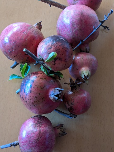 .trashed-1763777911-PXL_20251017_054203462