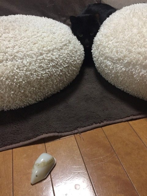 050