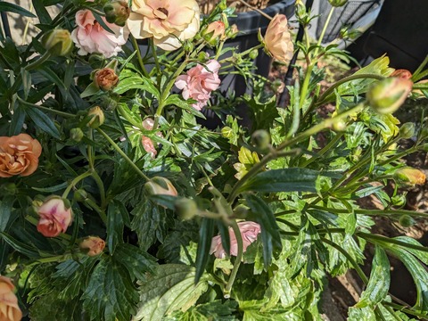 PXL_20240319_010102940