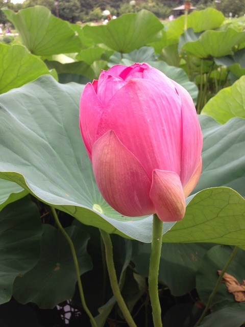 039