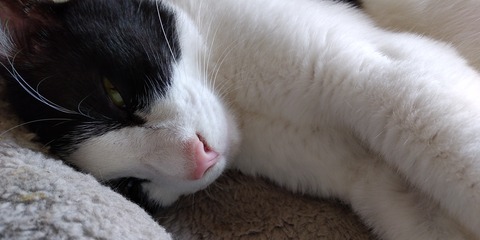 IMG_20210622_094414