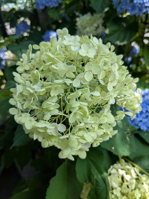 PXL_20260619_004002540