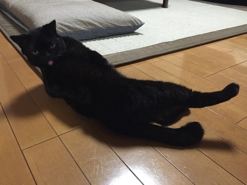 013