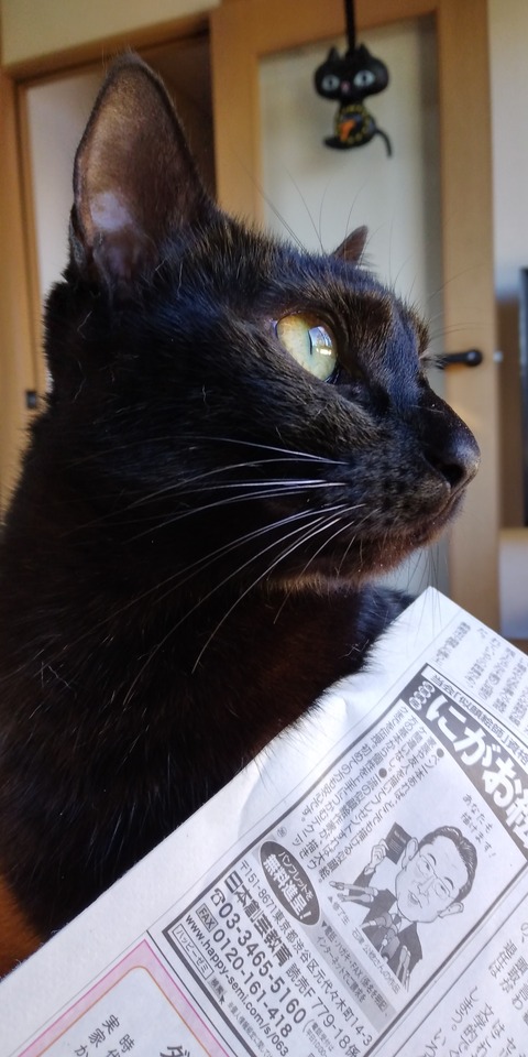 IMG_20211203_083416
