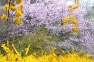 00c3c054.jpg