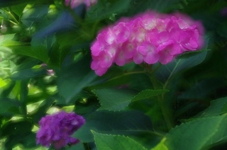 0a27393a.jpg