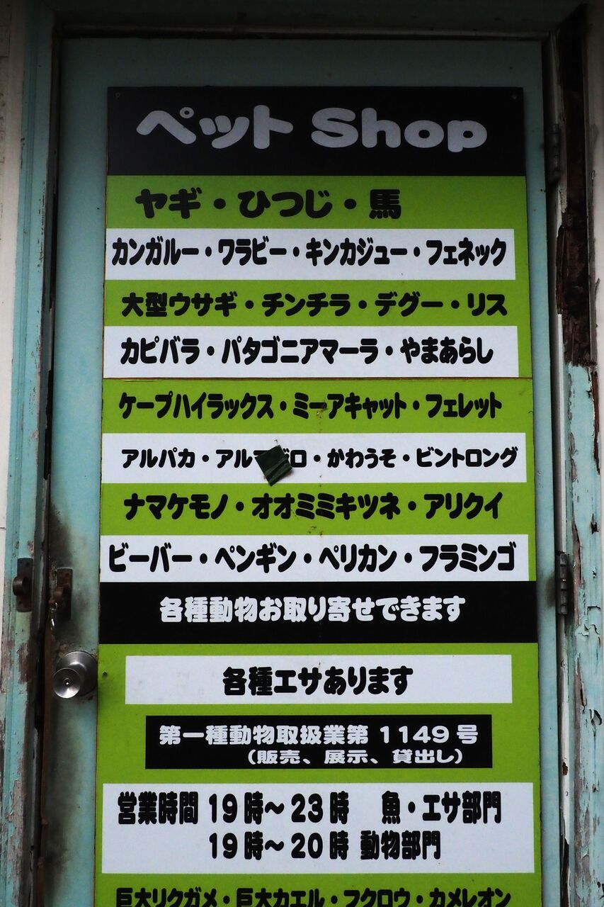 降っても晴れても写真日和:2025年02月