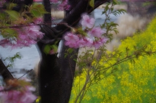 0c70d54e.jpg