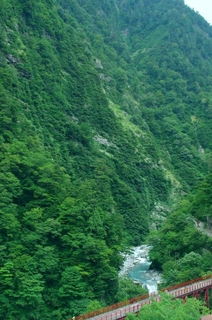107caa69.jpg