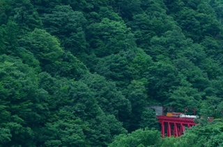 17d031b5.jpg