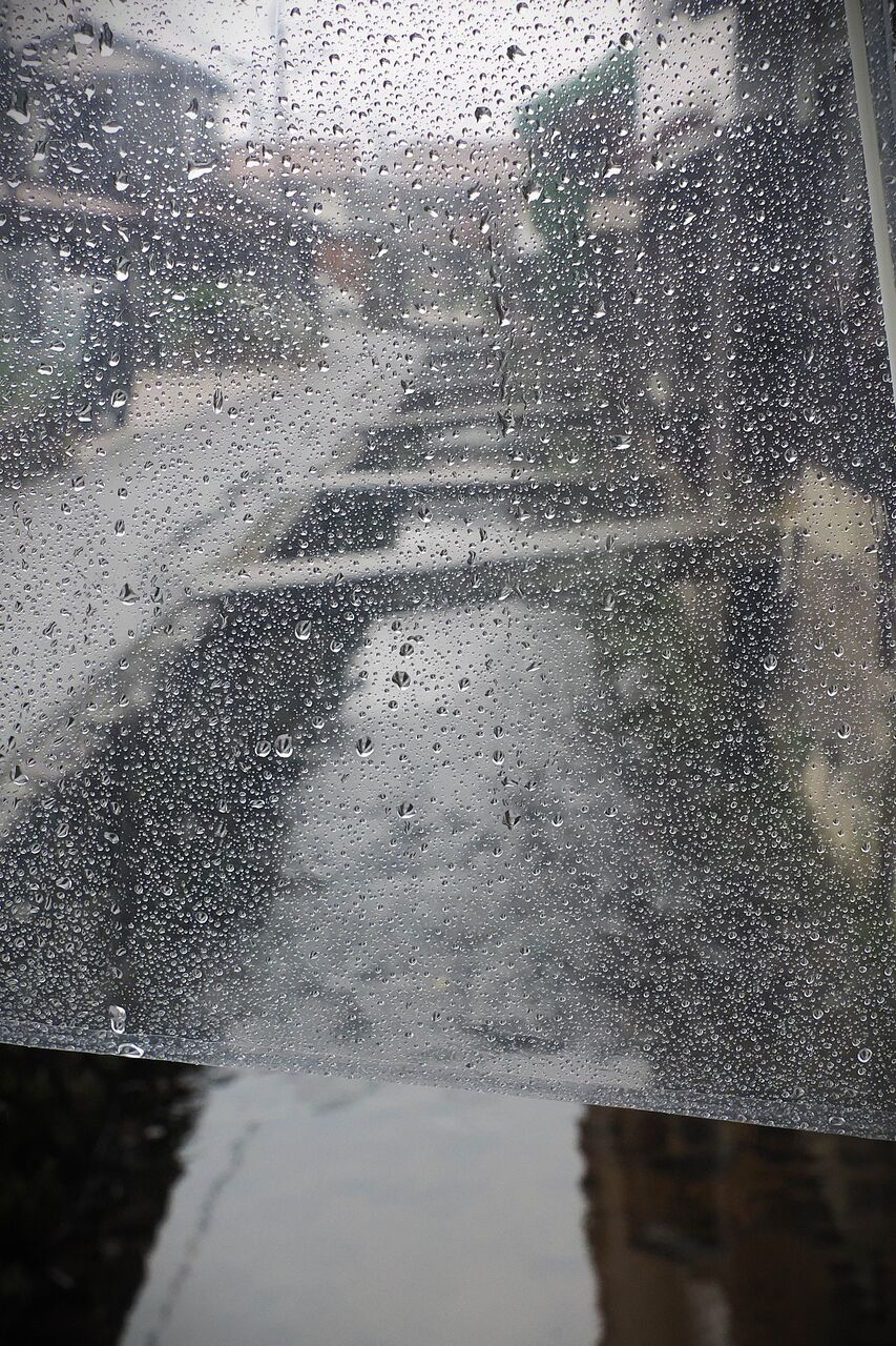 降っても晴れても写真日和:降ったら降ったで写真日和