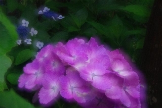 2d48c1d6.jpg