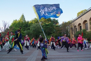4159c791.jpg