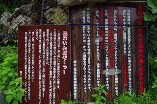 4ab229a8.jpg
