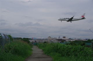 50e8189f.jpg