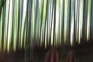 531c22c0.jpg