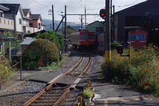 572e0d18.jpg