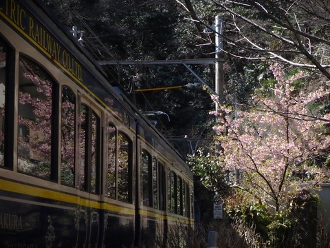 P3070027(2)