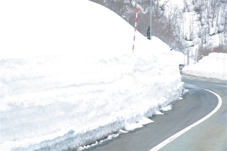 609a7ff4.jpg