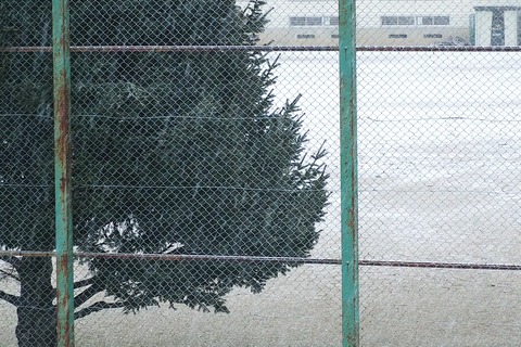 降っても晴れても写真日和:2026年03月19日
