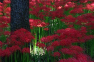 684d8d7c.jpg
