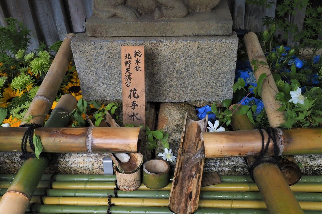 降っても晴れても写真日和 北野天満宮の花手水は そうだ京都行こう