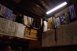732a02f5.jpg