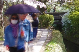 751f08f8.jpg