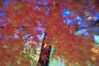 764ab060.jpg