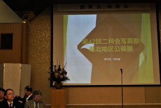841391d7.jpg