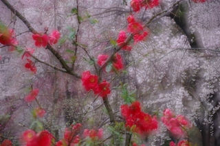 86f3ad67.jpg