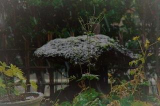 8b7ad992.jpg