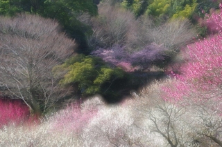 a601643d.jpg