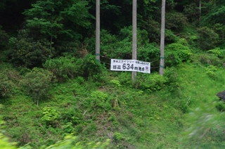 a7e5a84e.jpg