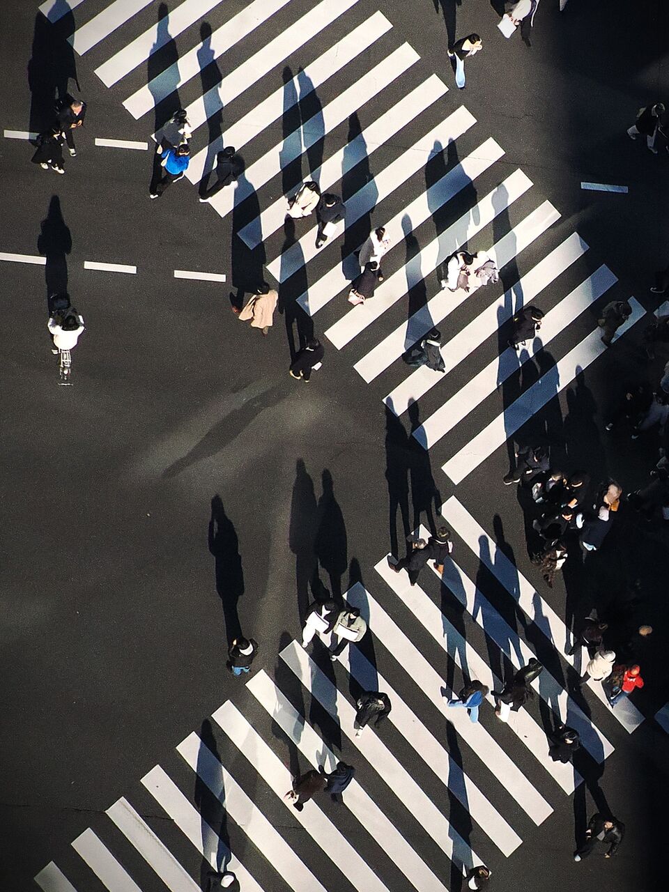 降っても晴れても写真日和:2026年01月19日